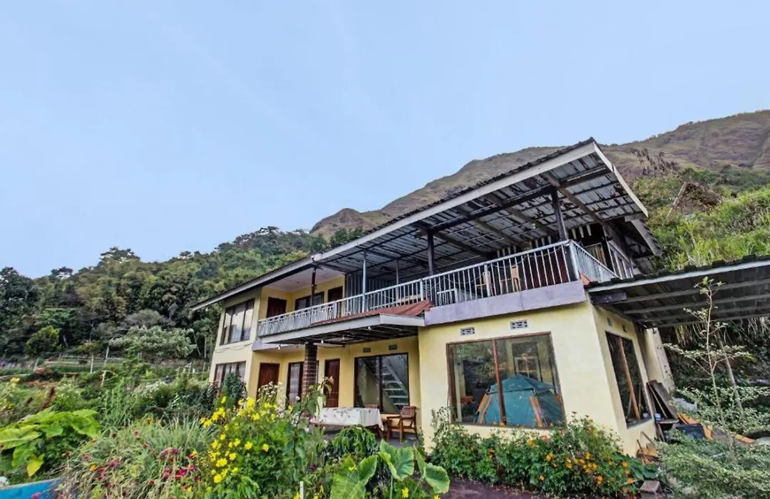 Villa Strawberry Sembalun-1