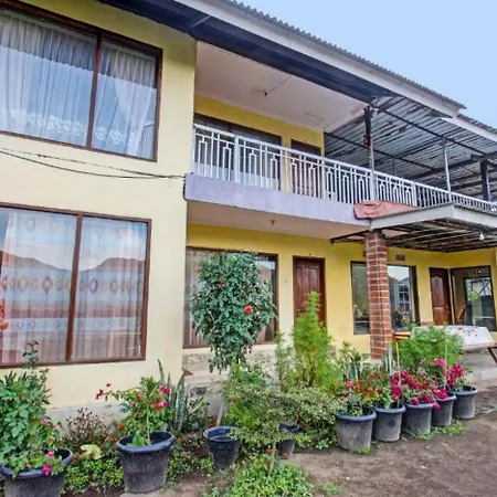 Villa Strawberry Sembalun-2